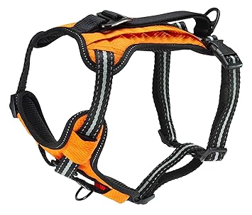 PetSafe Walk-Along Outdoor Dog Harness, No-Pull Solution, Water-Resistant, Zippered Pouch for Storage, Built-in Car Restraint, Small