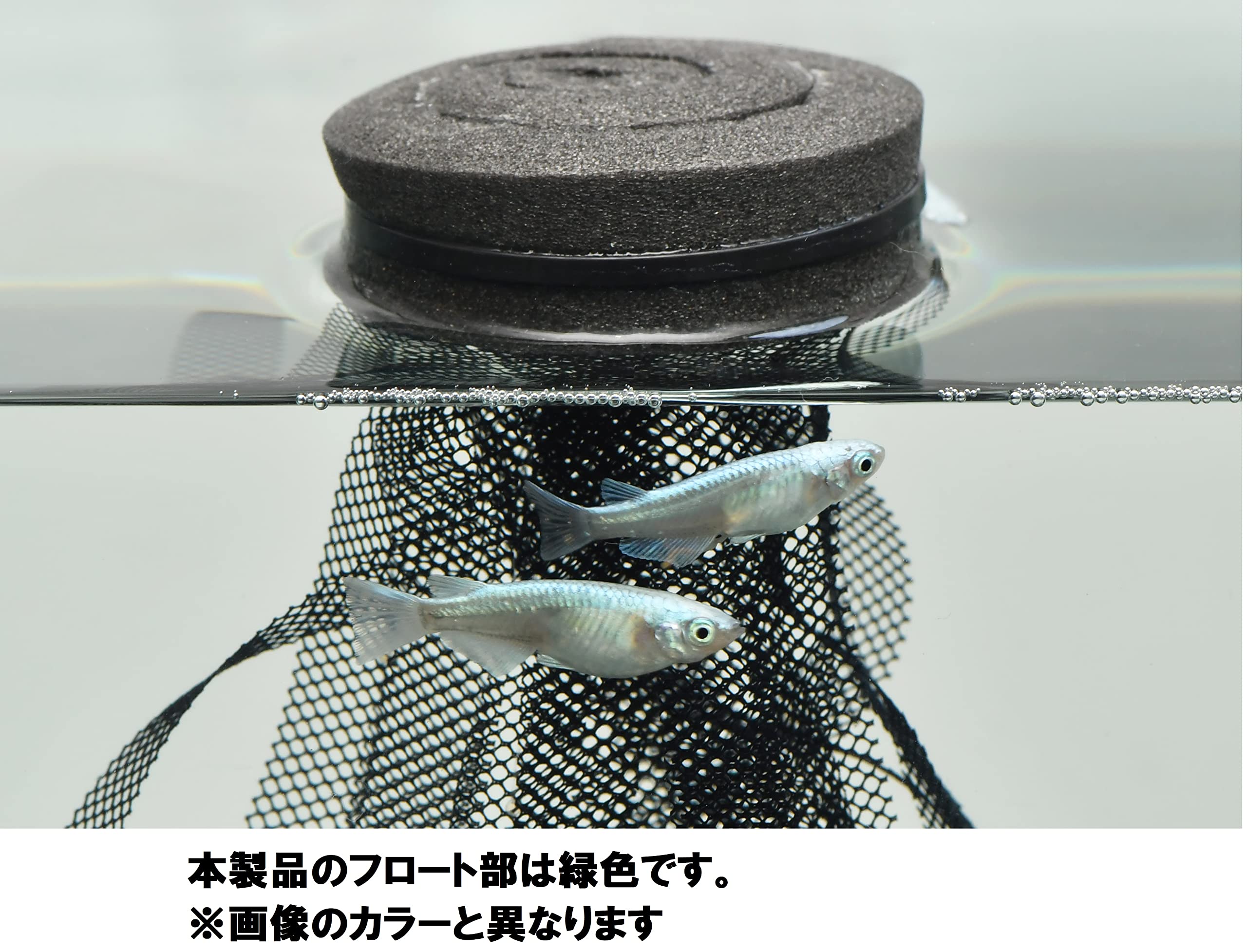 Amazon | カミハタ メダカのうずまき産卵床 緑 | カミハタ | 繁殖用