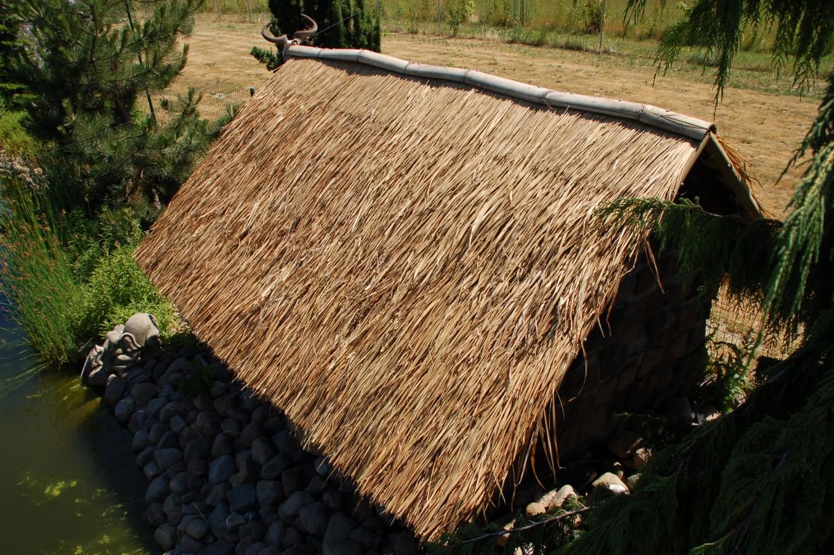 Lote de 20 Panels Natural para tejado de Palma (115 cm) tejado exótico, Refugio jardín, Gazebo, sombrilla pergola (20x12111)