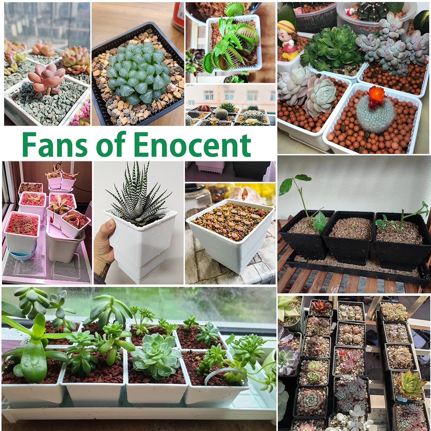 Enocent – Set Di Vasi Per Piante Grasse E Cactus Con Vassoio, 7 Cm, Controllo Radici, Fori Laterali E Fondo, Per Interni Ed Esterni - 2