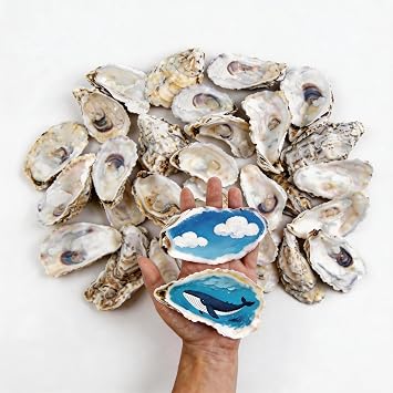 30Pcs 4"-6 Oyster Shells for Crafts Large Oyster Shells for Crafts Christmas Ornaments Natural Oyster Shell Beach Themes Home Decor Painting Wedding