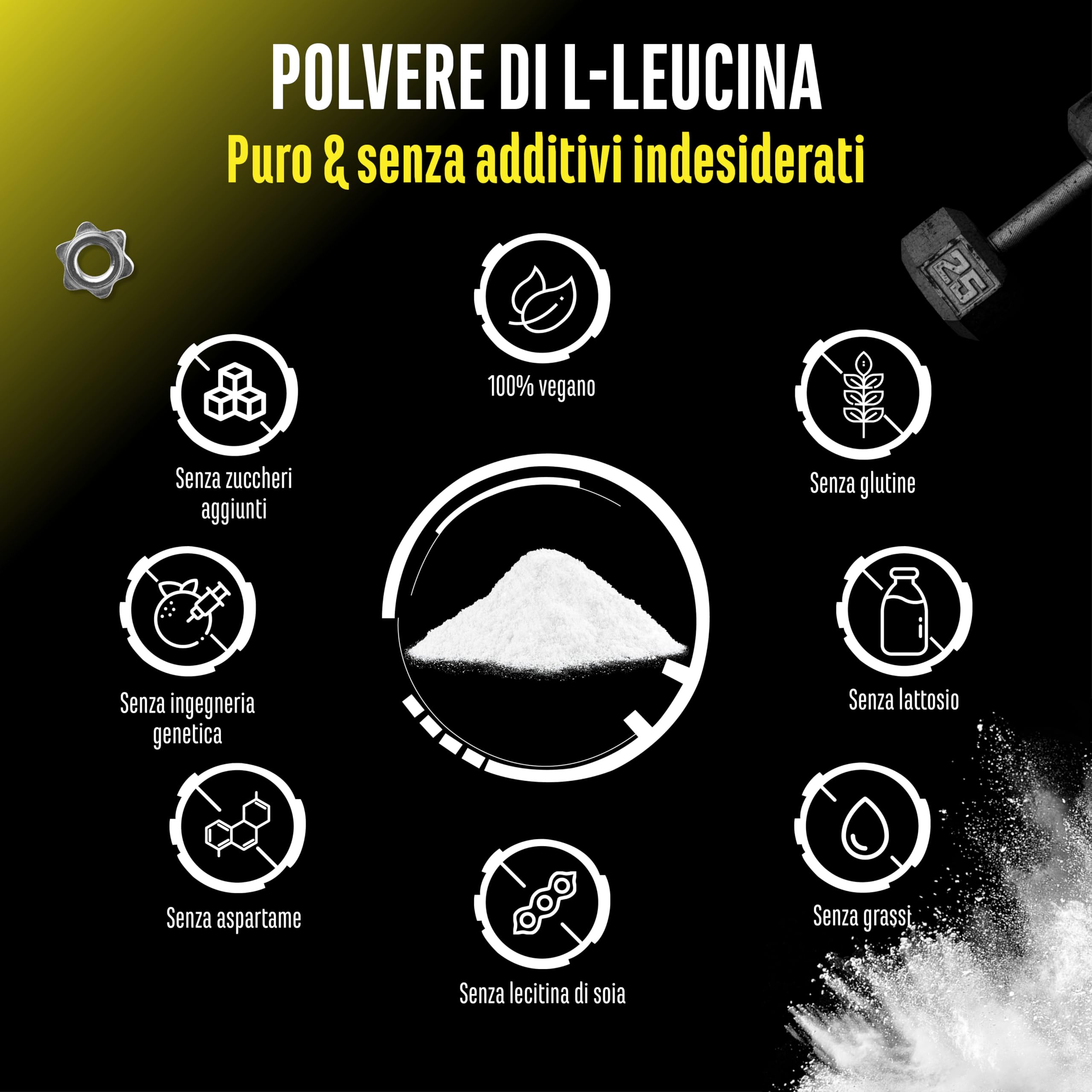 Leucina - 500 g di polvere - Elevata purezza - Materia prima premium: L-leucina naturale fermentata - Aminoacido - Senza additivi indesiderati, vegan