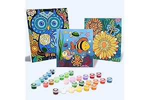 Craft-By-Numbers - Paint By Numbers Kit for Kids and Adults, Art Supplies...