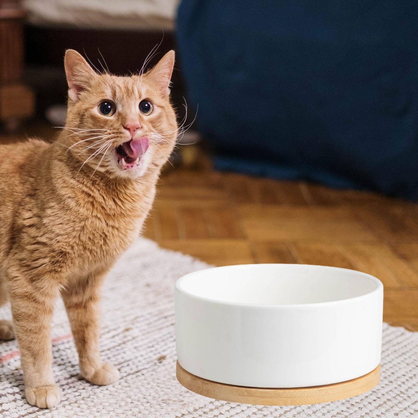Gamelle Chauffante pour Animaux Tapis Chauffant Électrique Base En Bois Céramique Glacée Contrôle Thermostatique Silencieux Convient Chats Chien, 8x17cm blanc