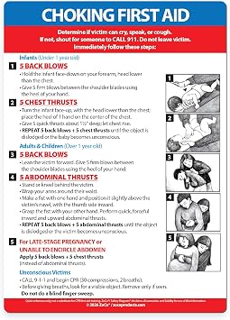 Safety Magnets by ZOCO Choking First Aid Magnet 2-Pack Heimlich Maneuver Instructions for Infant, Child, and Adult 5"x7" Emergency Safety Guide for Home, School, Restaurant, or Workplace