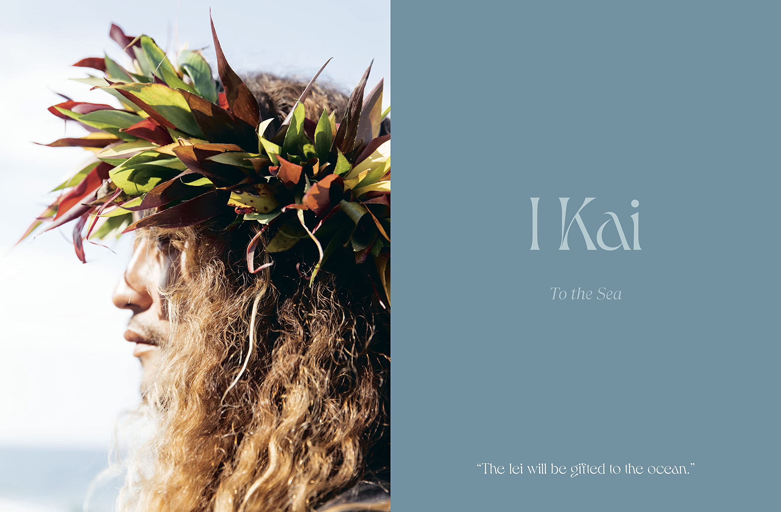 Lei Aloha: Celebrating the Vibrant Flowers and Lei of Hawai'i