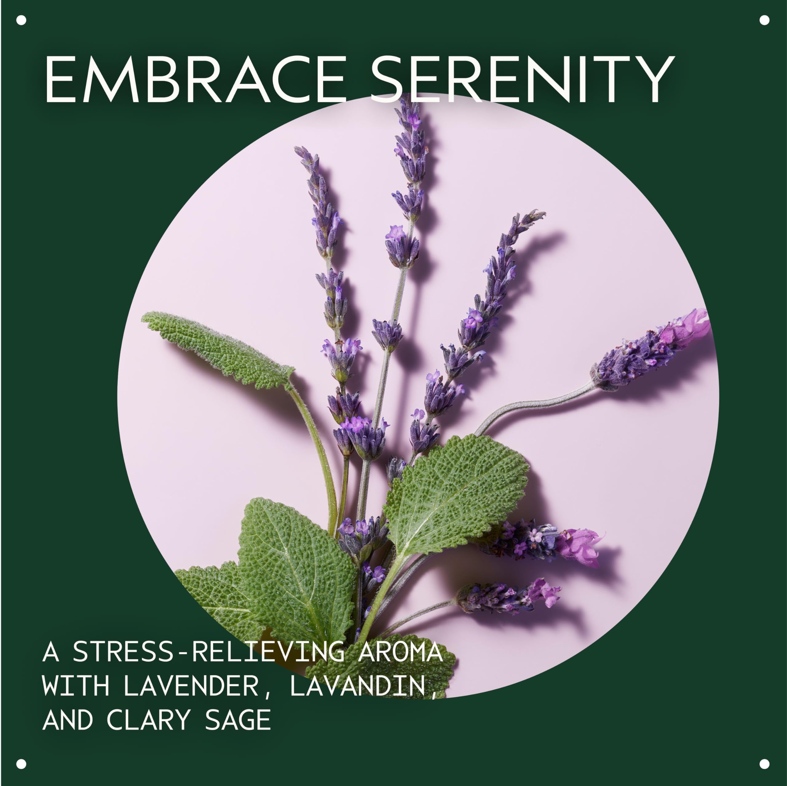 Aveda Stress-Fix Concentrate Rollerball | Shown to Reduce Feelings of Stress | with Aroma of Lavender, Lavandin, Clary Sage, 0.24 Fl Oz
