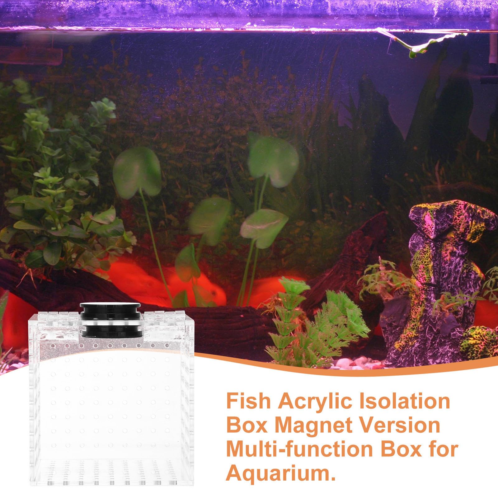 Caja de Aislamiento para Peces con Fijación Magnética y Vista Clara