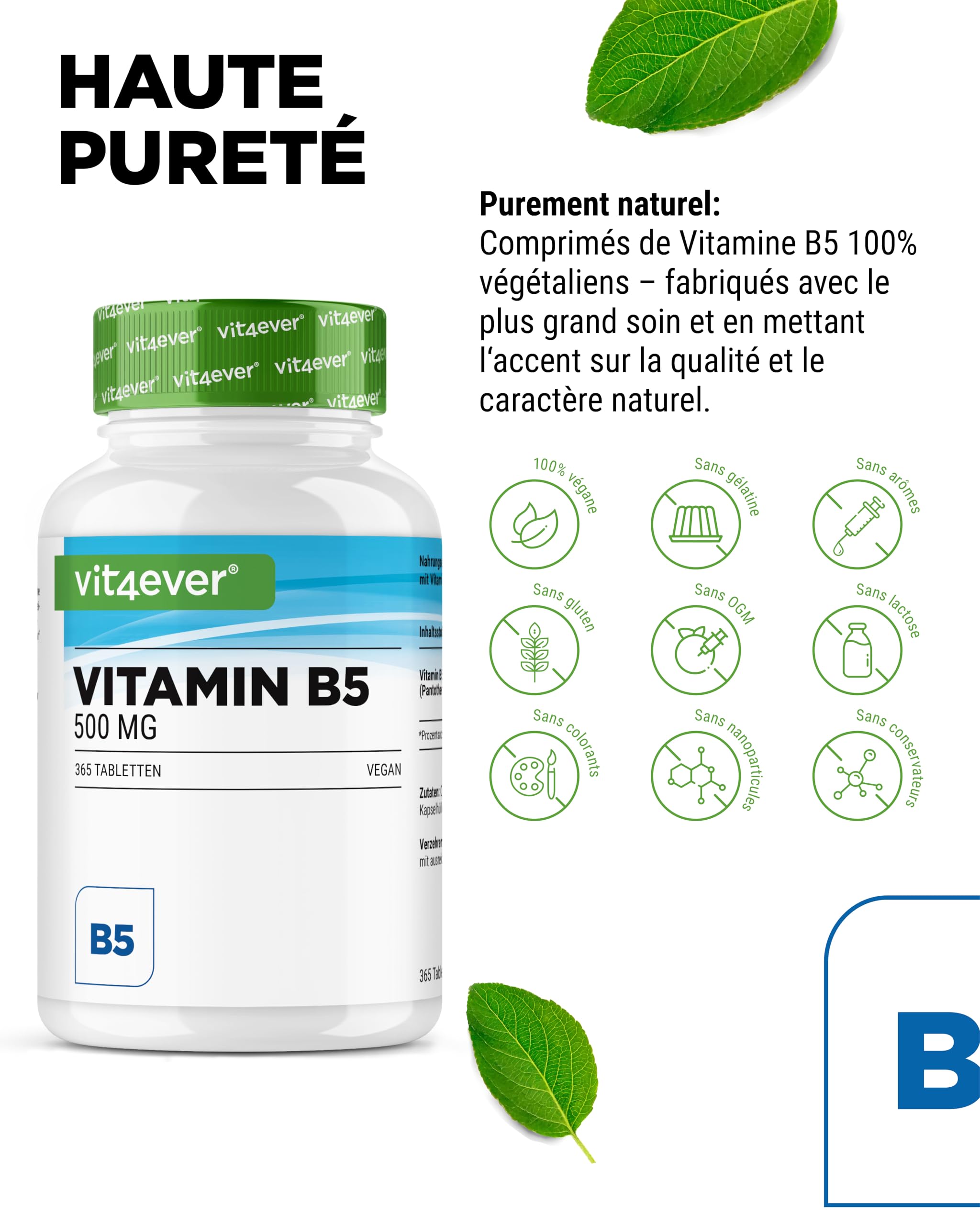 vit4ever Vitamine B5 (Acide Pantothénique) - 500 mg - 365 Comprimés - Réserve 1 An - Hautement Dosé - Sans Additifs Indésirables - Vegan