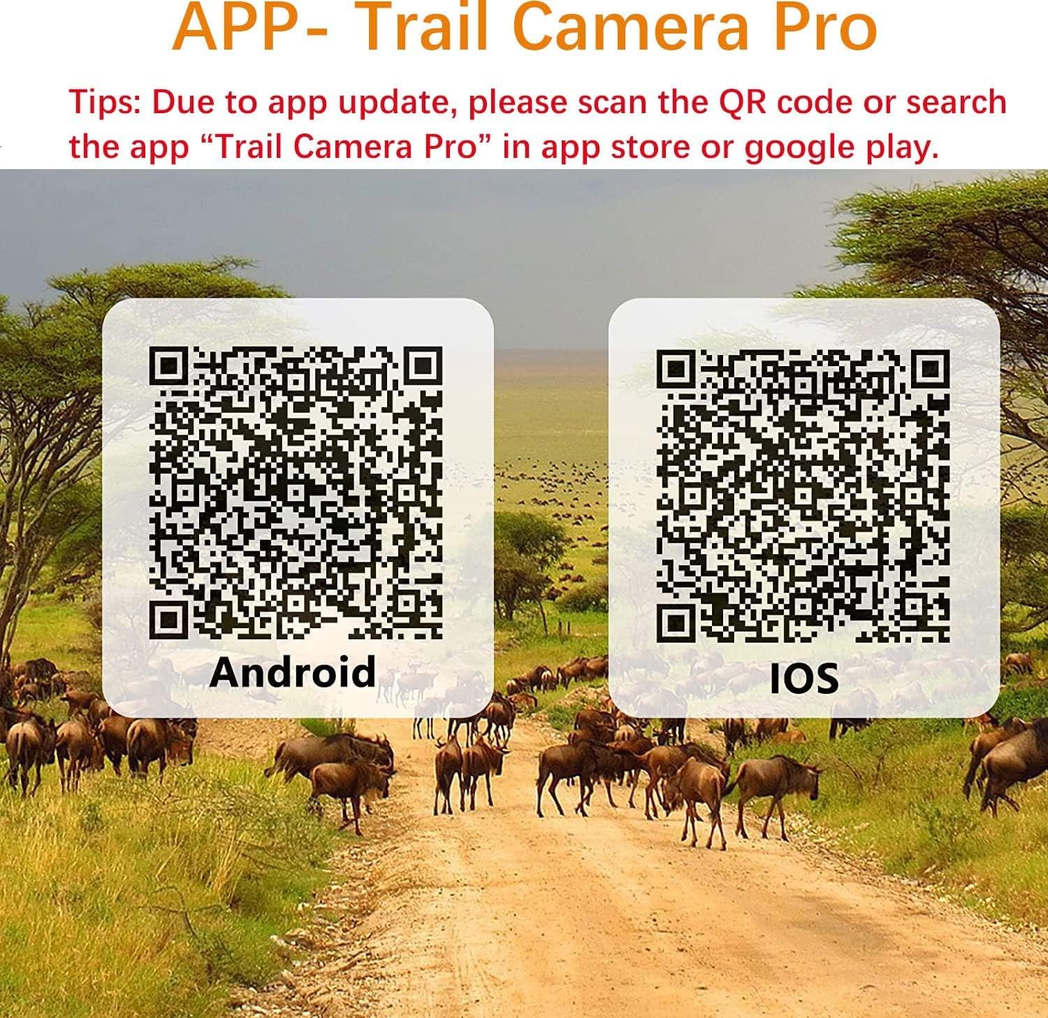 Advanced Night Vision