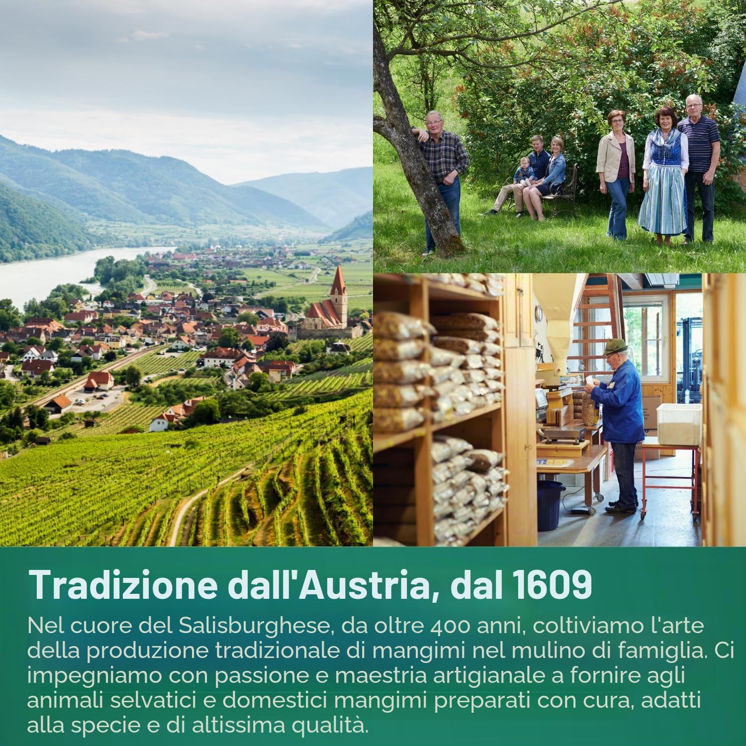 Agrarzone PREMIUM Mangime per galline ovaiole sfarinato 25 Kg - Qualità premium Austriaca, 100% naturale e senza OGM - Aumenta numero e dimensione delle uova, per galline sane