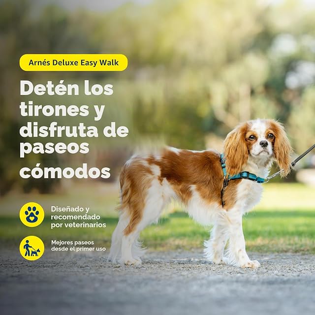 Foto 3 de 8 de PetSafe Easy Walk - Arnés de Lujo para Perro, sin tirones, Entrenamiento con Correa y arnés, Evita…