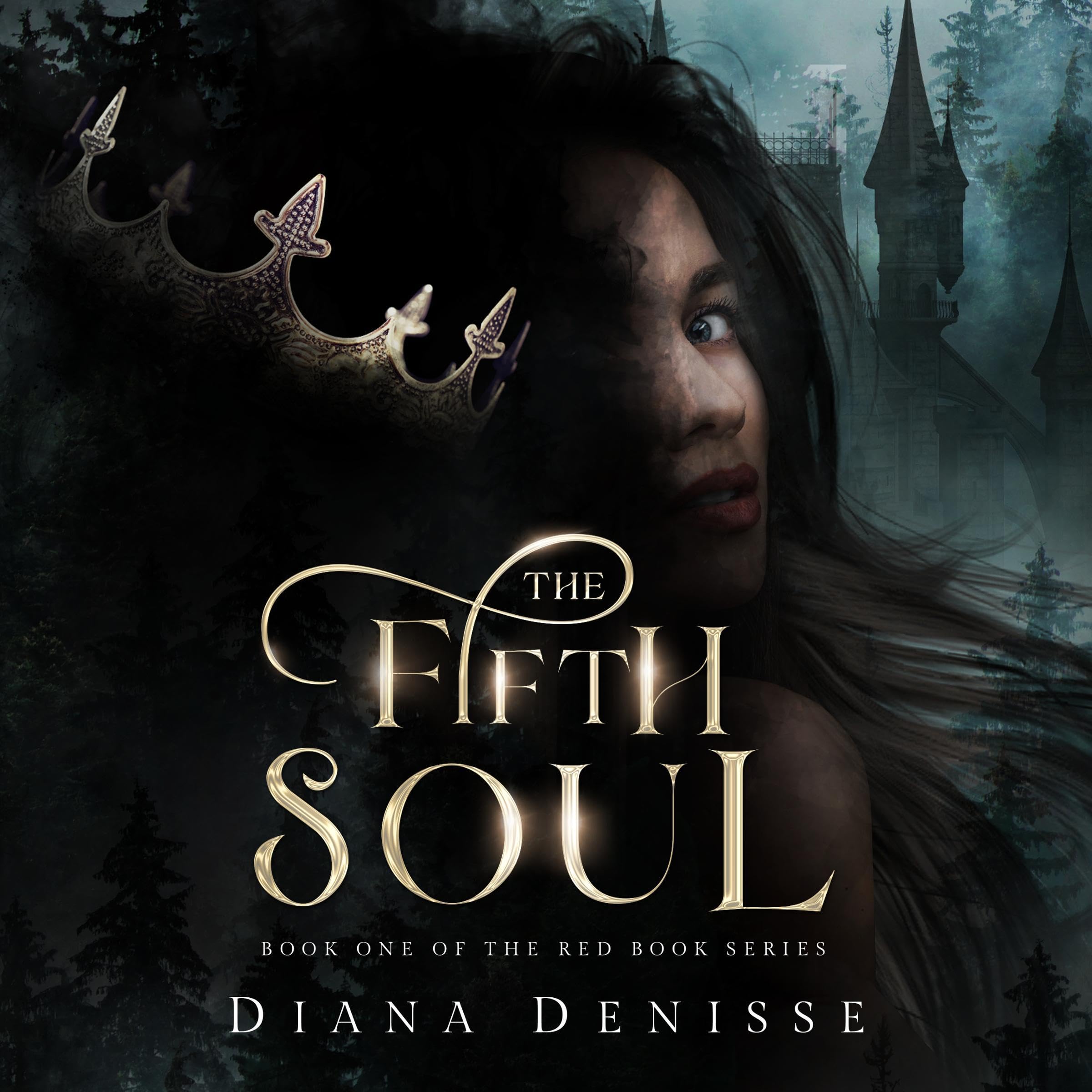 Cover art for The Fifth Soul