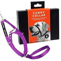 Canny Collar – Collare a Cavezza Addestramento Cane | Collare Anti‑Tiro Gentile e