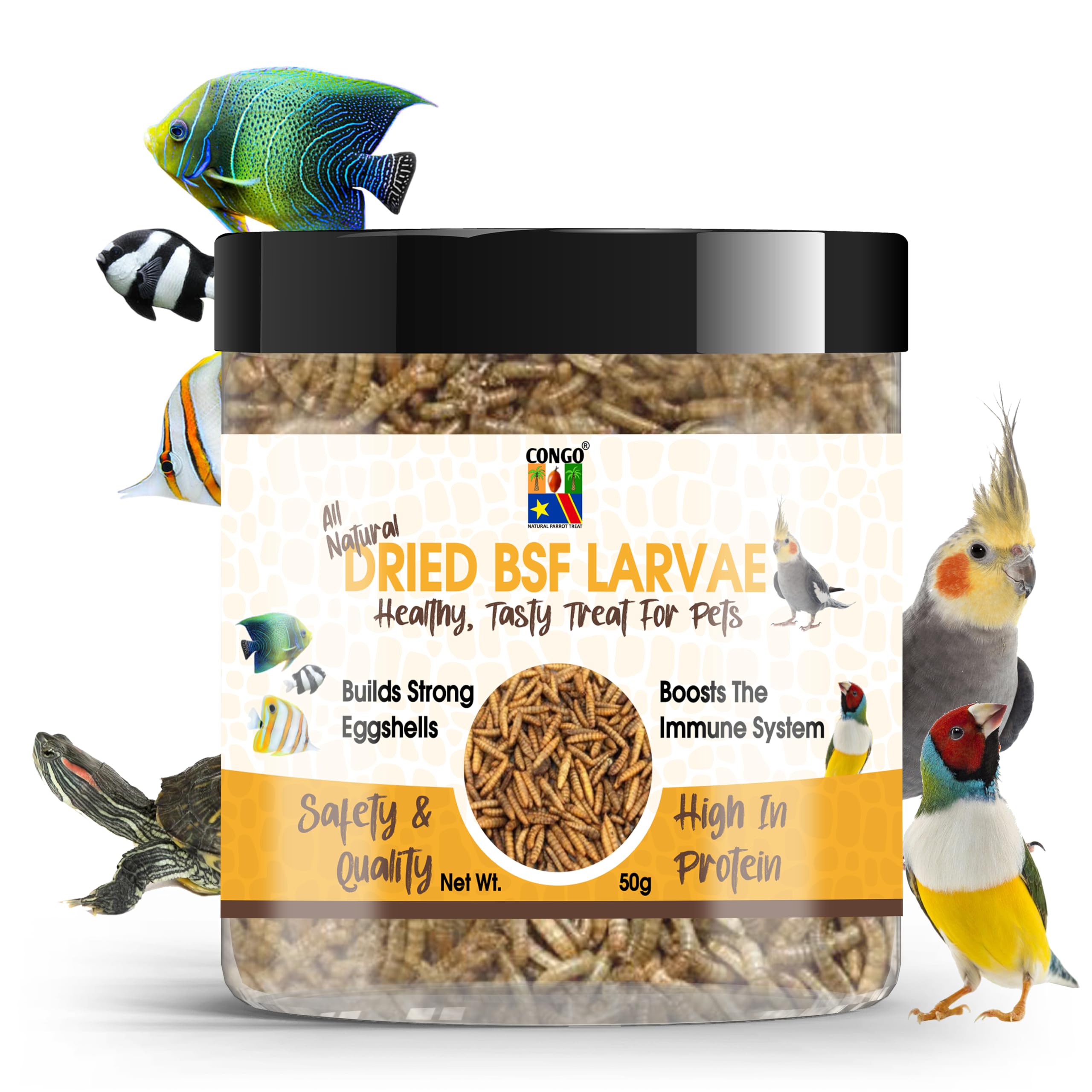 Congo® BSF Dry Larvae 50g High Protein Treat for Fish, Birds, Turtles, Tortoise and Other Pets, 50g (B0CPSSNCL9) Amazon Price History, Amazon Price Tracker
