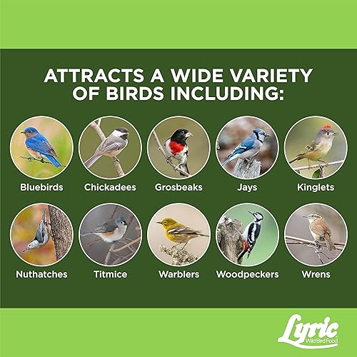 Miniatura 5 de Lyric Fine Tunes - Pasteles de sebo de semillas de aves silvestres sin desperdicios para aves silvestres, 12 onzas (paquete de 12)