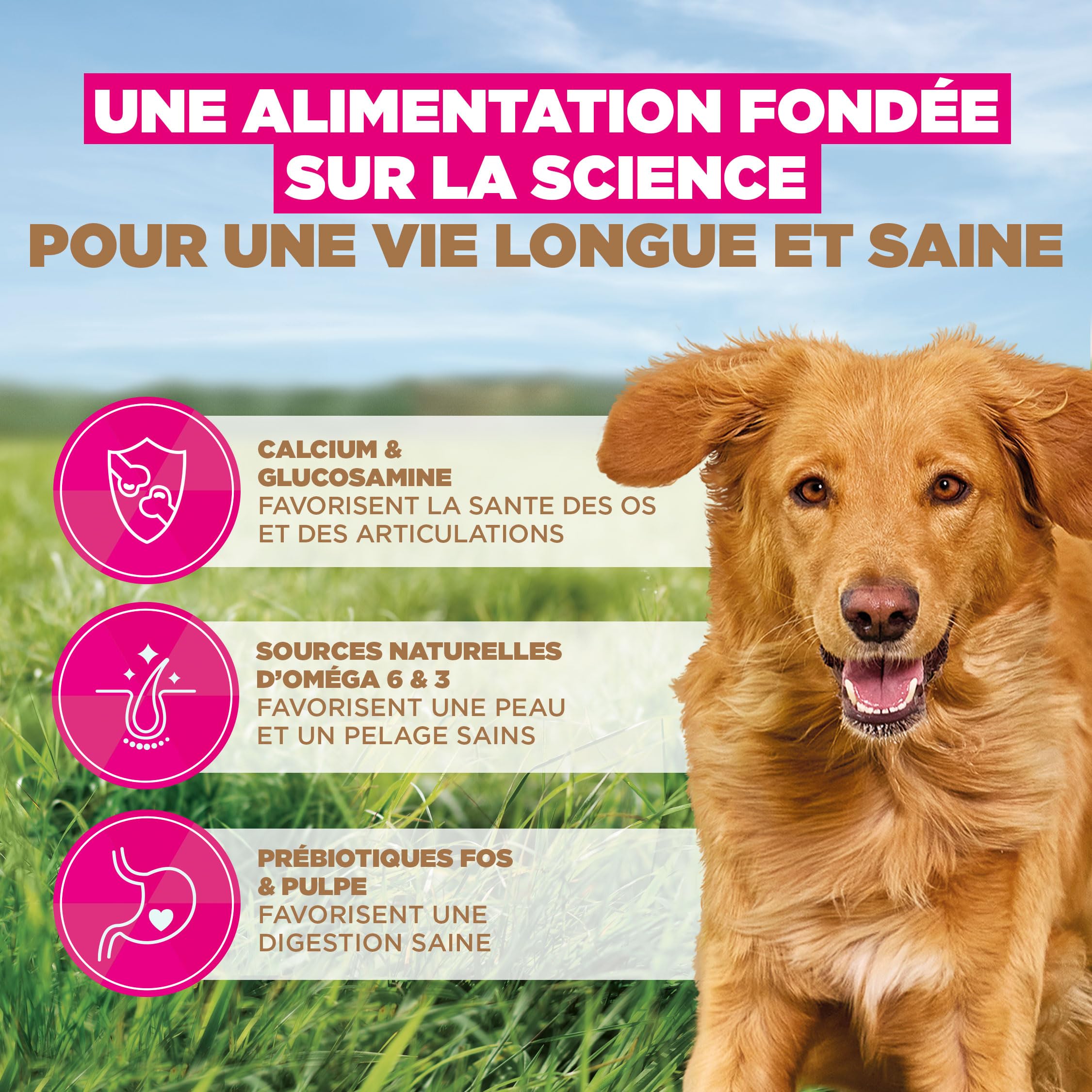 EUKANUBA Chien Adulte Grande Race sans Céréales Agneau 12 kg