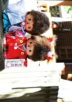 【美品】『（特別版）未来を写した子どもたち』（ポストカードブック付） 美品】『（特別版）未来を写した子どもたち』（ポストカード