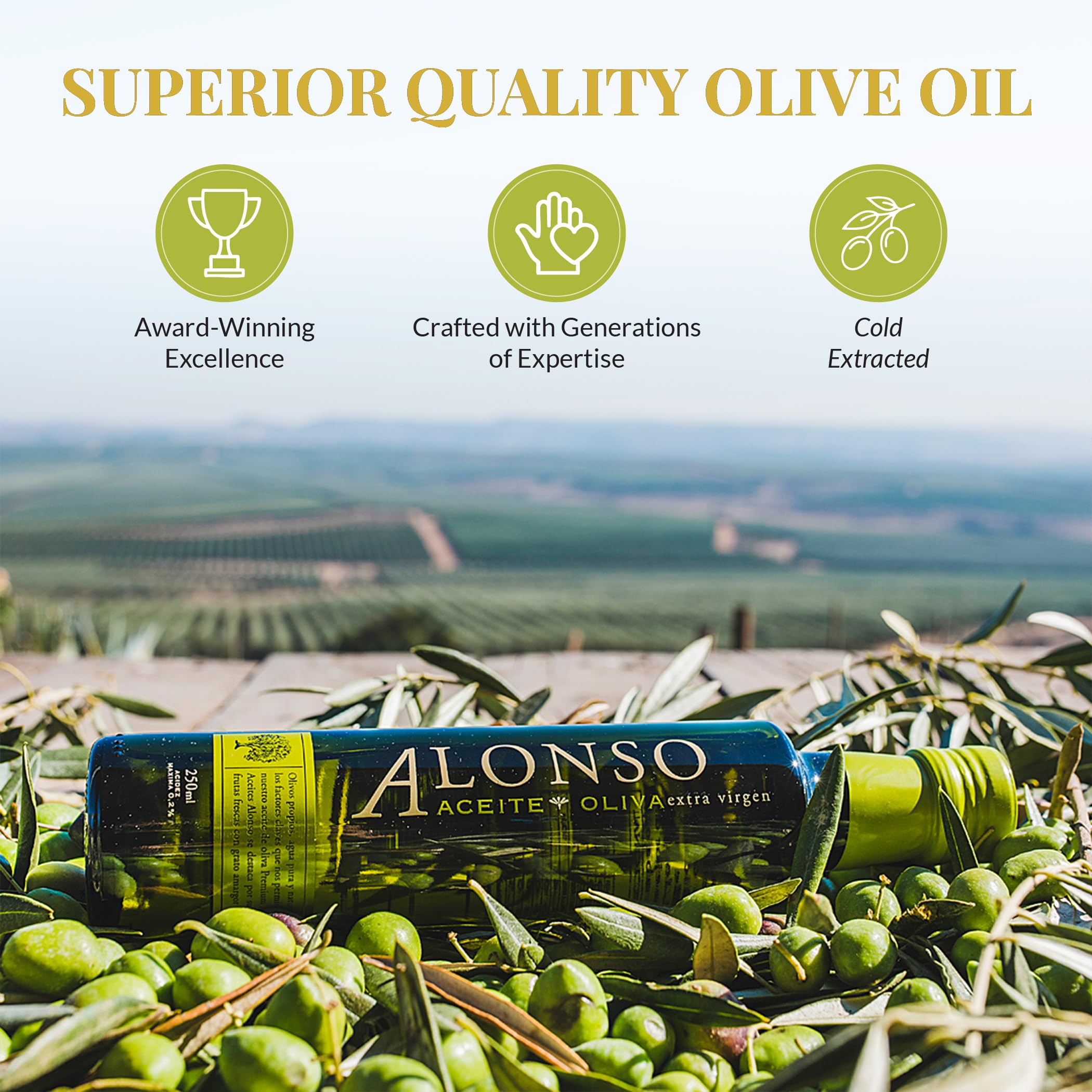 Amazon.com : Alonso, Extra Virgin Olive Oil, Chile, 2024 Harvest