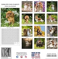 Vista 447 de Razas de Perros 2017