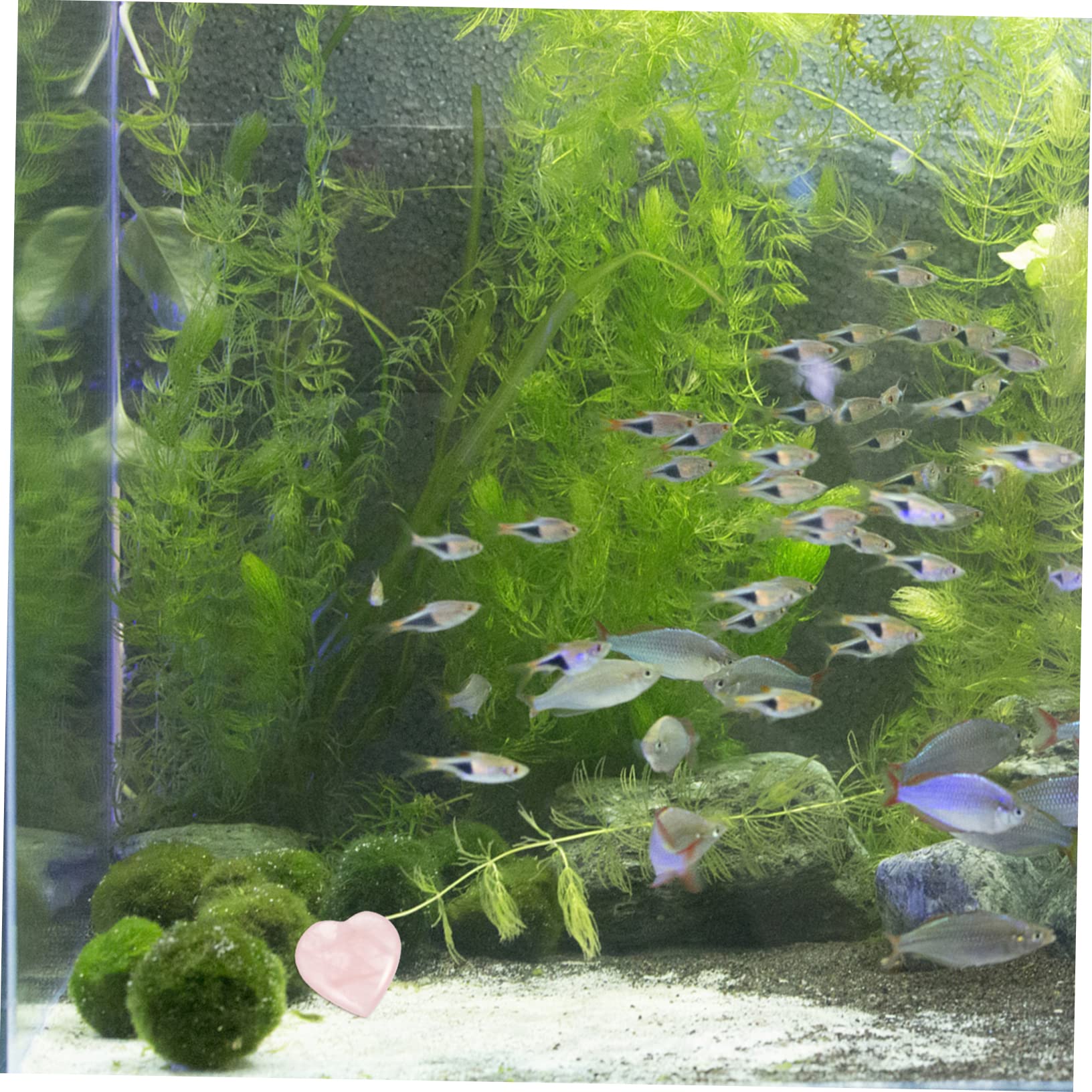 Cabilock 2 Juegos Pecera Paisajismo Piedra Piedras Rosas Guijarros De Corazón De Acuario Gemas Rosadas del Corazón del Amor Joya Decoración Guijarro Rosa Corazón Cristal 30 Piezas * 2