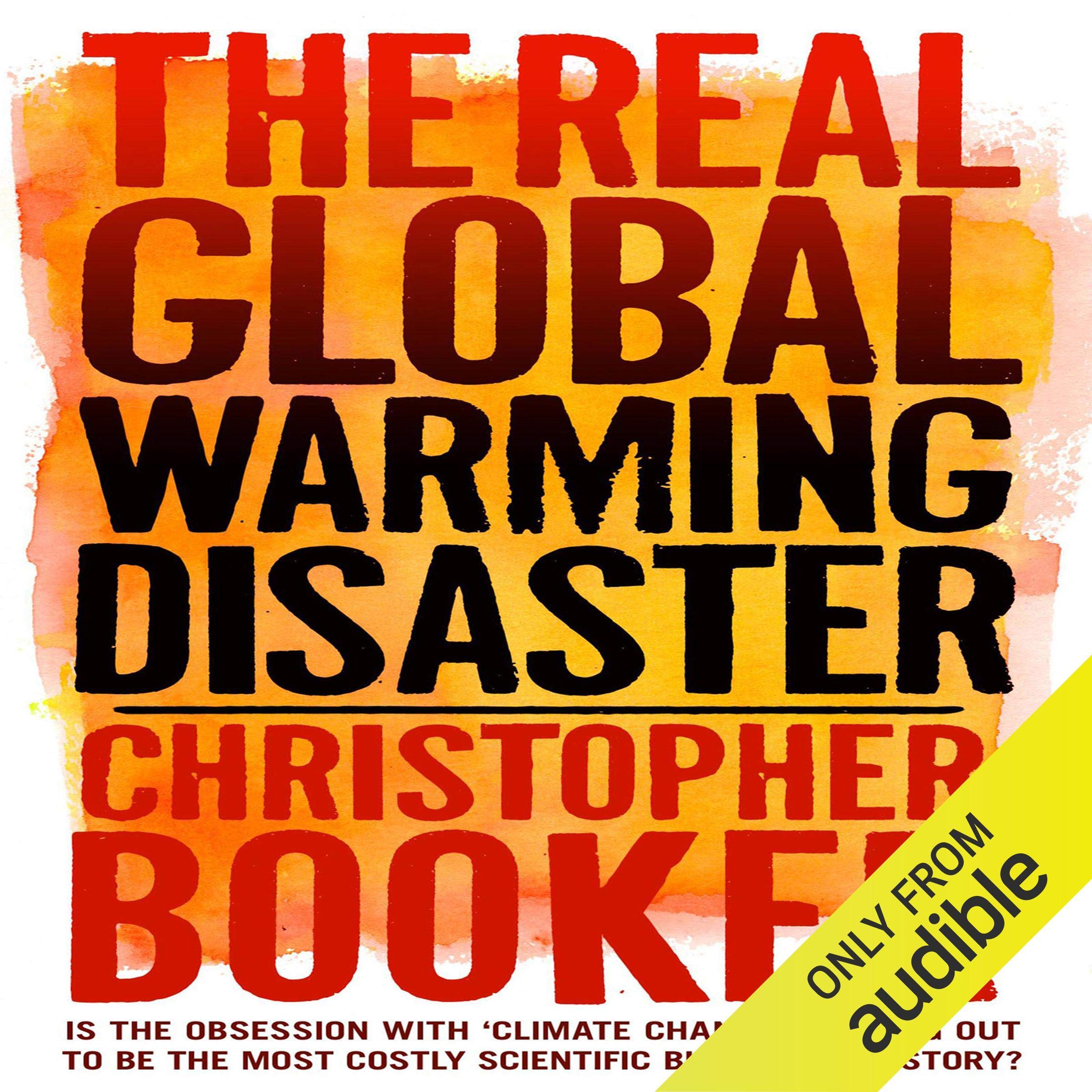 Cover art for The Real Global Warming Disaster