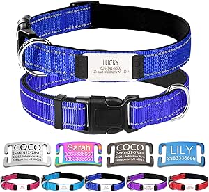 Colliers Réfléchissants Personnalisés Pour Chiens, Nom/numéro