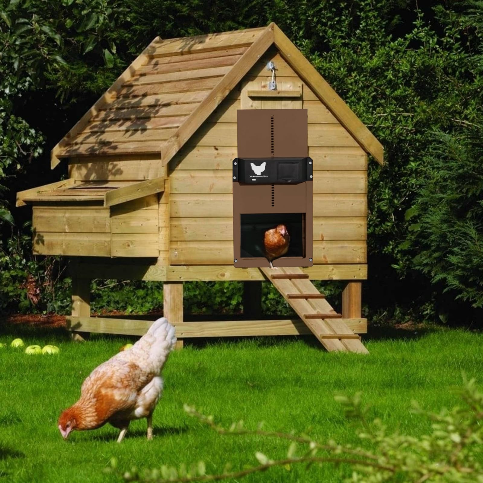 Porte Poulailler Automatique Solaire, Porte De Poulailler Automatique Batterie, Automatic Chicken Coop Door, Etanche avec Capteur de Lumière Porte De Poulailler à Induction à Pile, pour Poulets Canard
