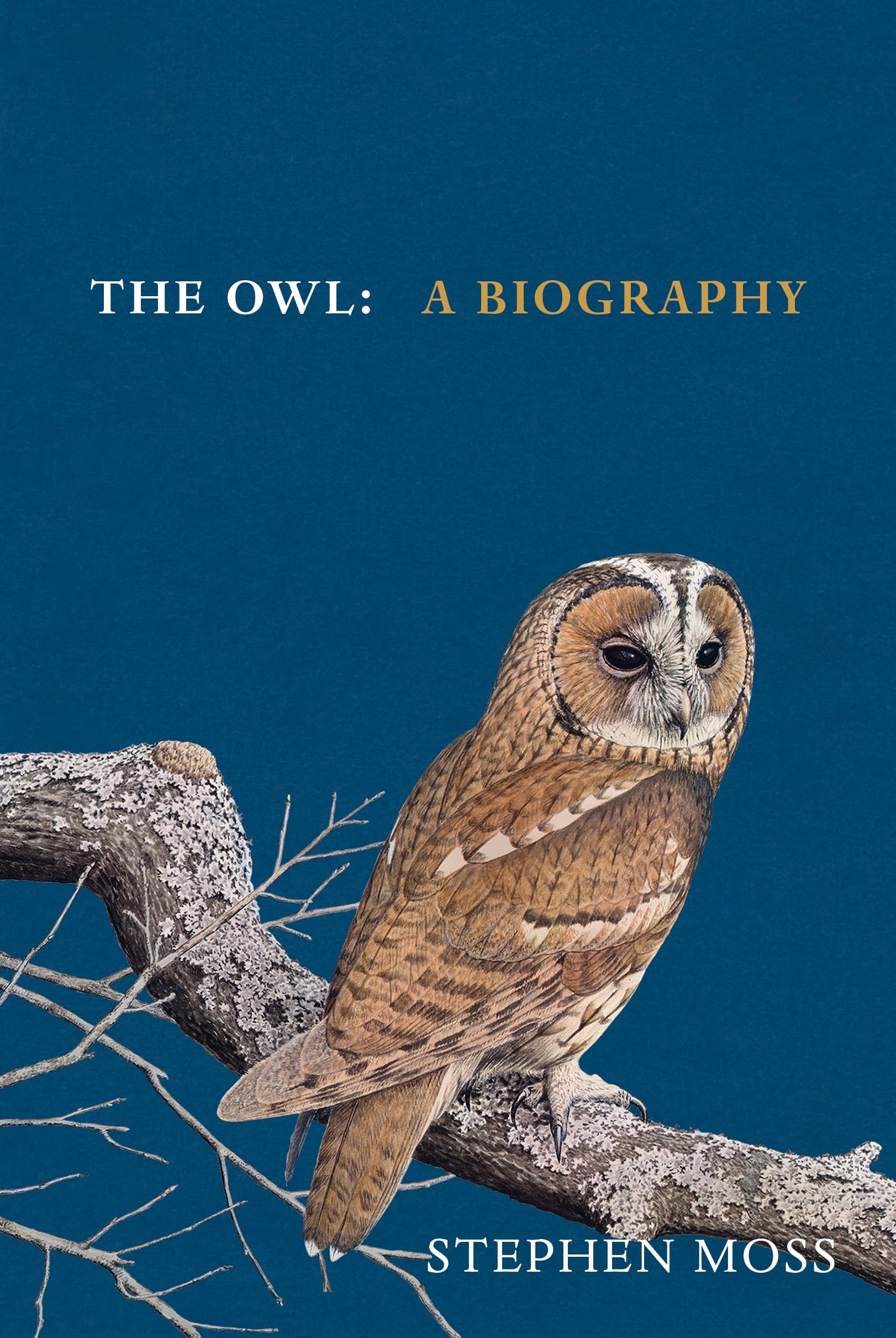 The Owl: The perfect gift for bird lovers (The Bird Biography Series Book 5)