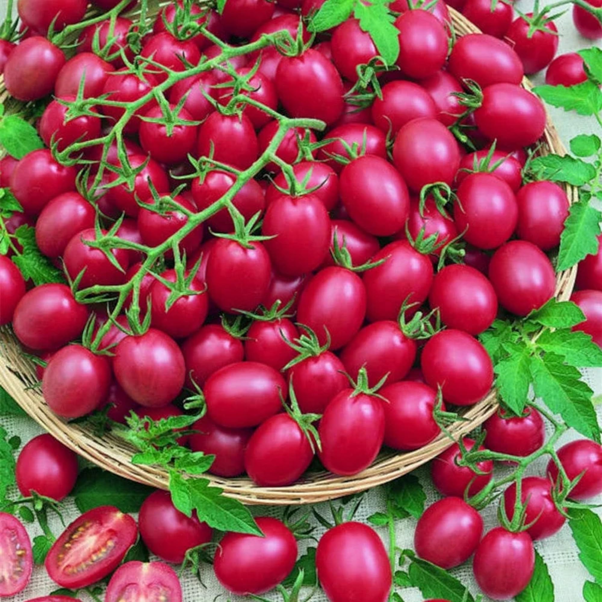 200pcs Tomato Cherry Pink Grape Seeds - Heirloom, Non-GMO Seeds - Planting Instructions Included - Ideal for Home Vegetable Gardens, Excellent Gardening Gift (Cherry Pink Grape Tomato Seeds)