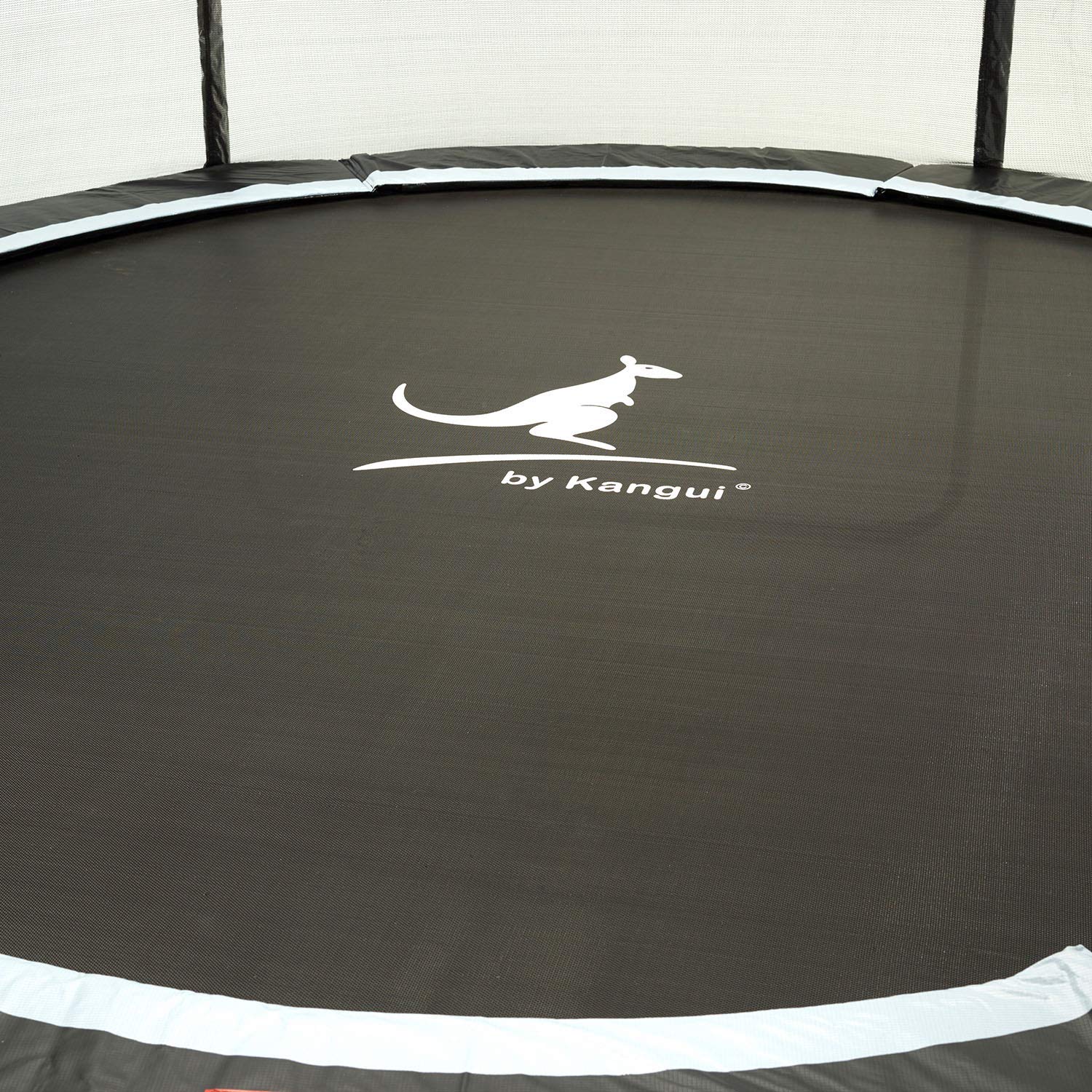 Kangui RALLI 250 Trampolino Rotondo Con Rete: Completo Di Scala, Telo E Kit Ancoraggio, Diametro 250 Cm - 3