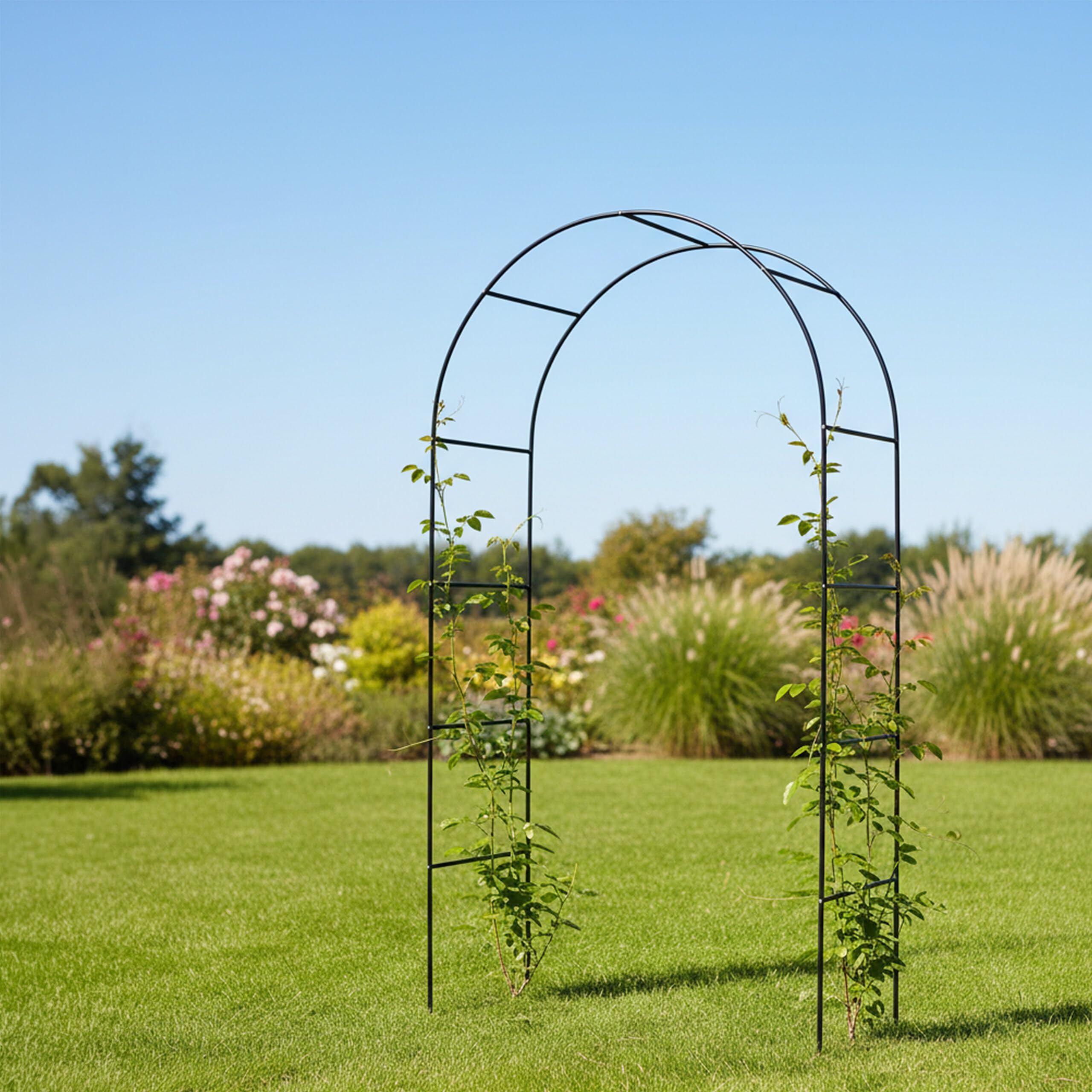 Relaxdays Juego de 2 Arcos de Rosas de Metal, 240 x 140 x 38 cm, para Plantas trepadoras, Color Negro