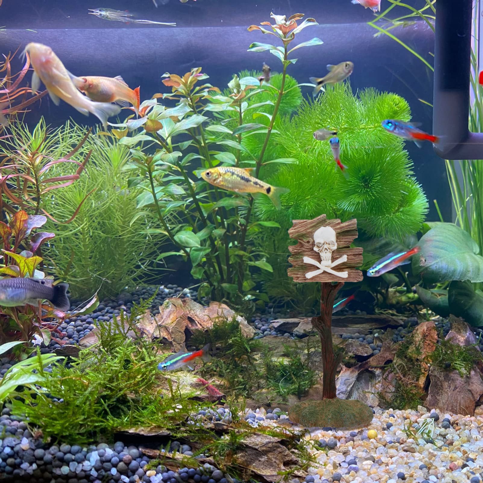 ULTECHNOVO 3pièces Ornement Résine Forme De Crâne pour Aquarium Décoration Originale avec Signal Avertissement pour Créer Une Ambiance Unique Votre Réservoir Eau