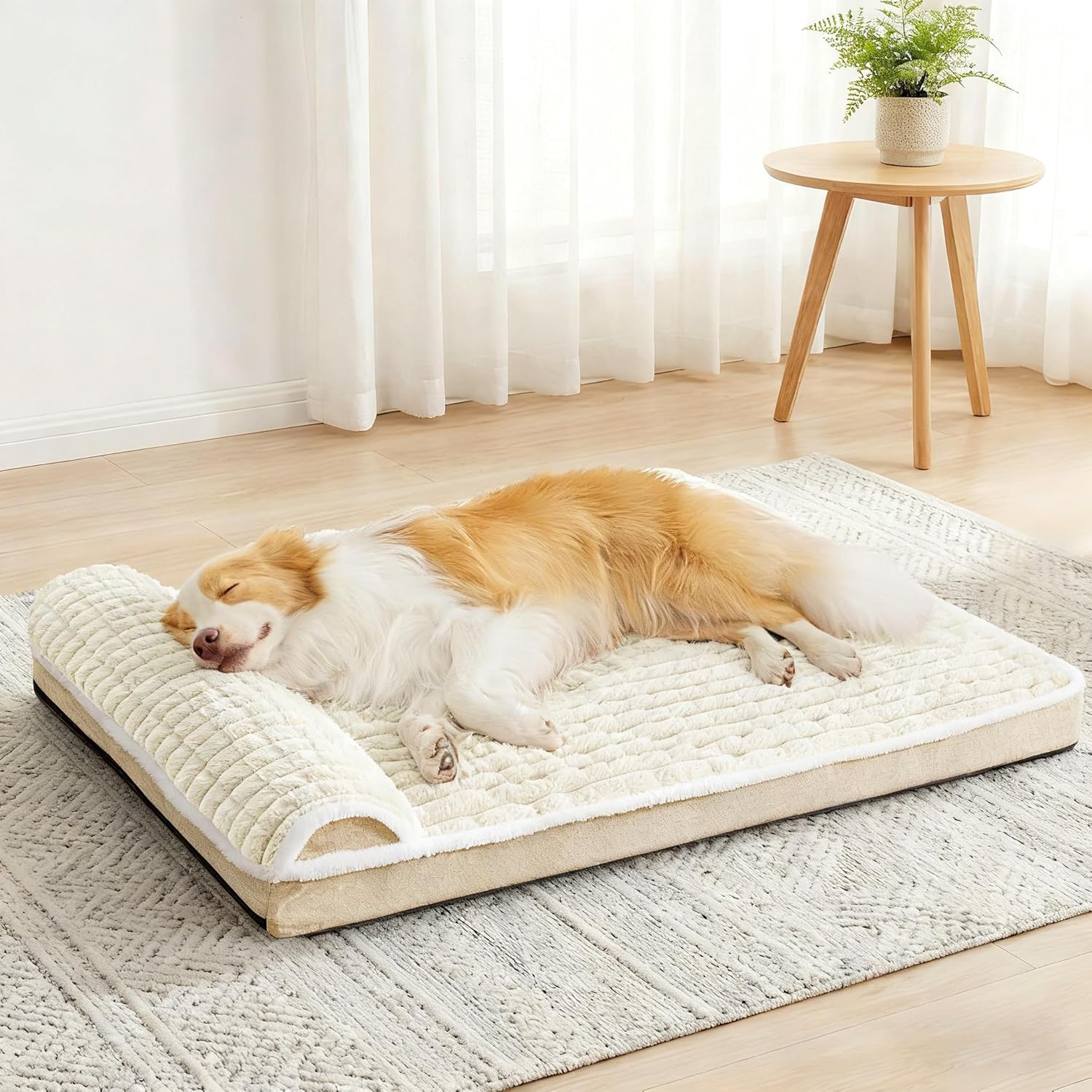 Jolibean Orthopedic Dog Bed Large Sized Dog with Pillow 91X61cm, Waterproof Soft Comfortable Egg Crate Foam Pet Crate Beds Mat with Removable Washable Cover and Non-Slip Bottom, Cream