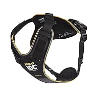 Julius-K9, Pettorina IDC Longwalk