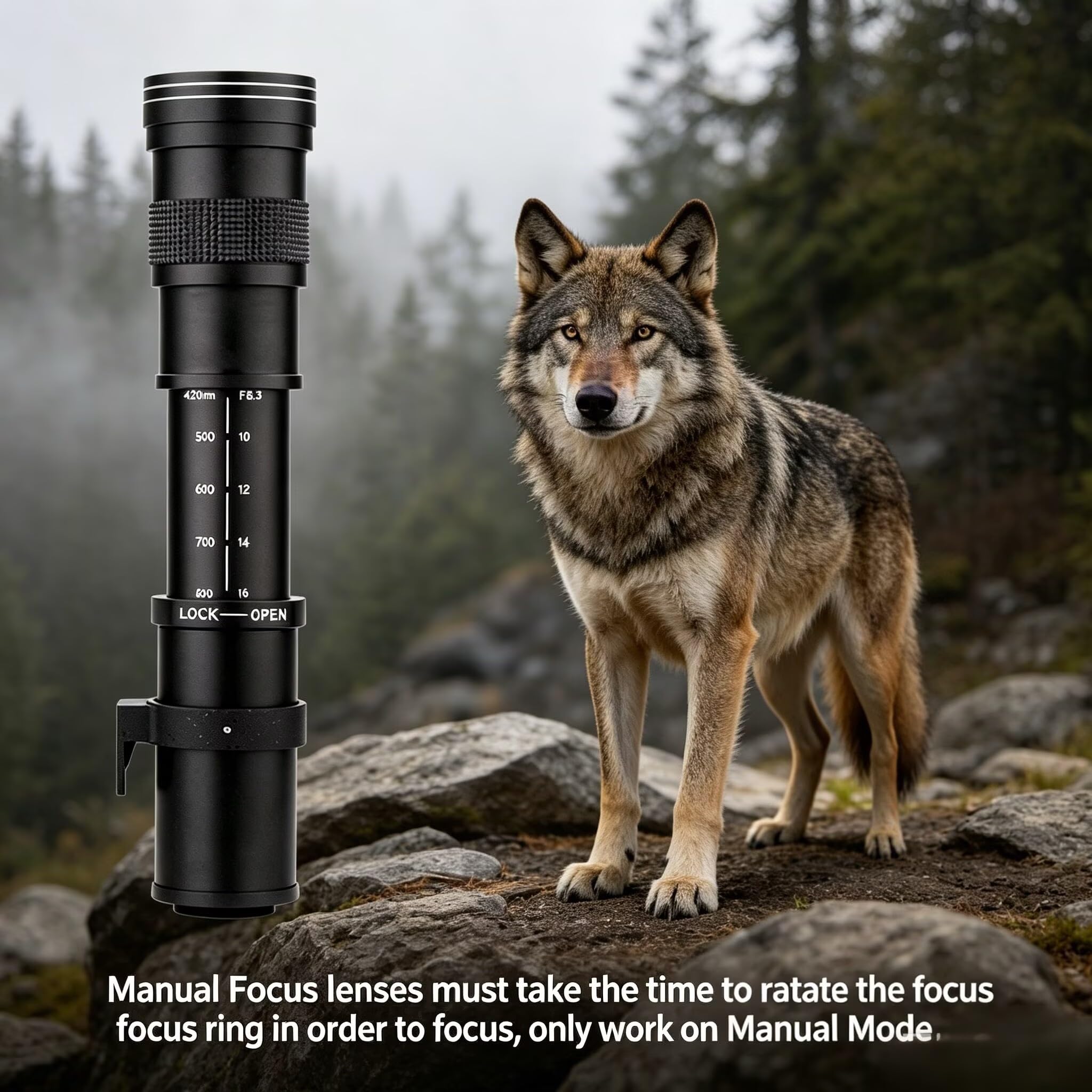 JINTU 420-800mm f8.3 Telefoto Objektiv Zoom Manueller Fokus (MF) für Sony E Mount A6700 A6600 A6500 A7C A7R A7S A7 A9 A6400 A6300 A6100 A6000 A5100 A5000 NEX-6 NEX-5 ZV-E10