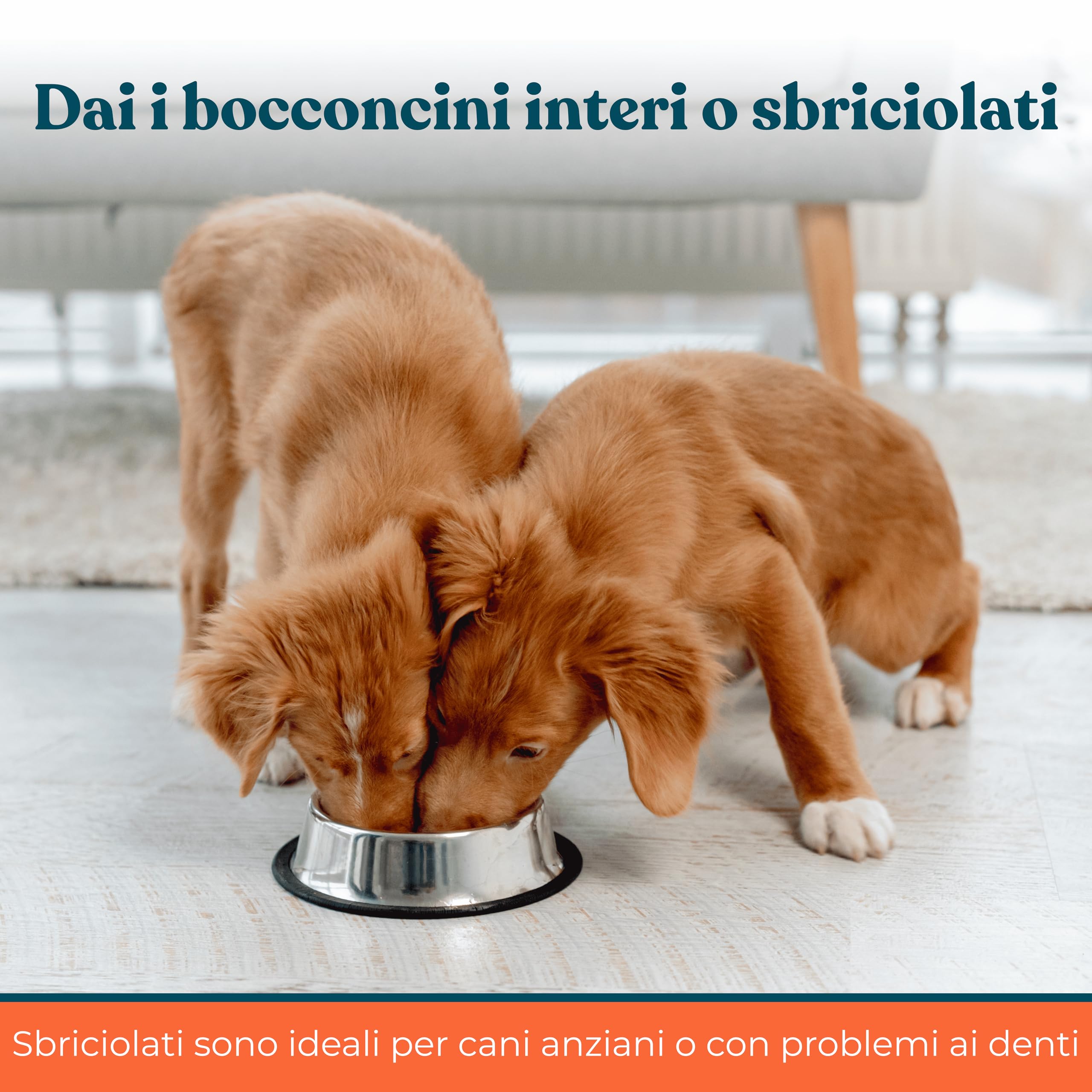 Integratori per Cani Ossa e Articolazioni Gusto Manzo - Integratore Articolazioni Cane per Favorire Lo Sviluppo o Mantenere la Mobilità