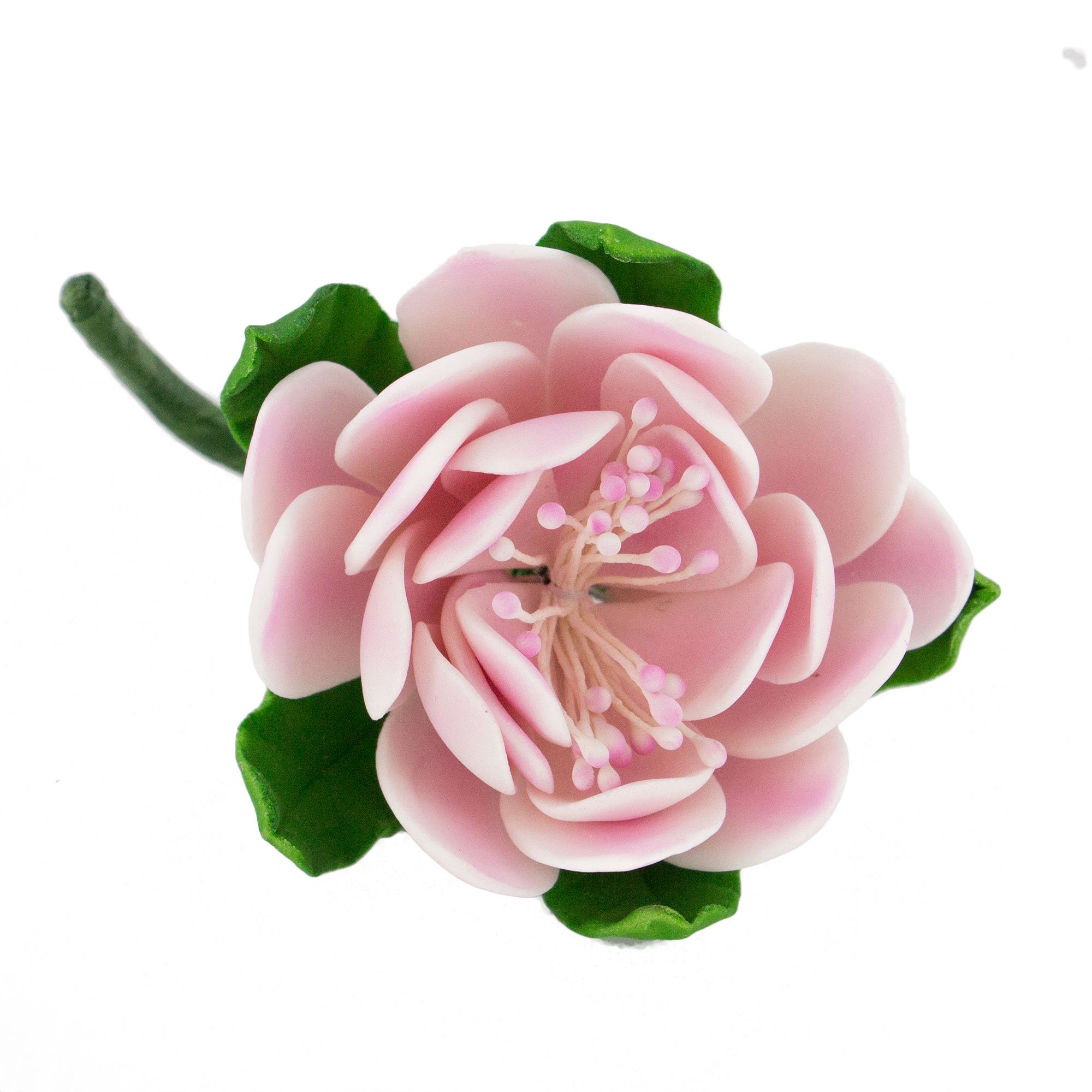 Global Sugar Art Protea Sugar Cake Flowers Medium Pink, 3 Count by Chef Alan Tetreault