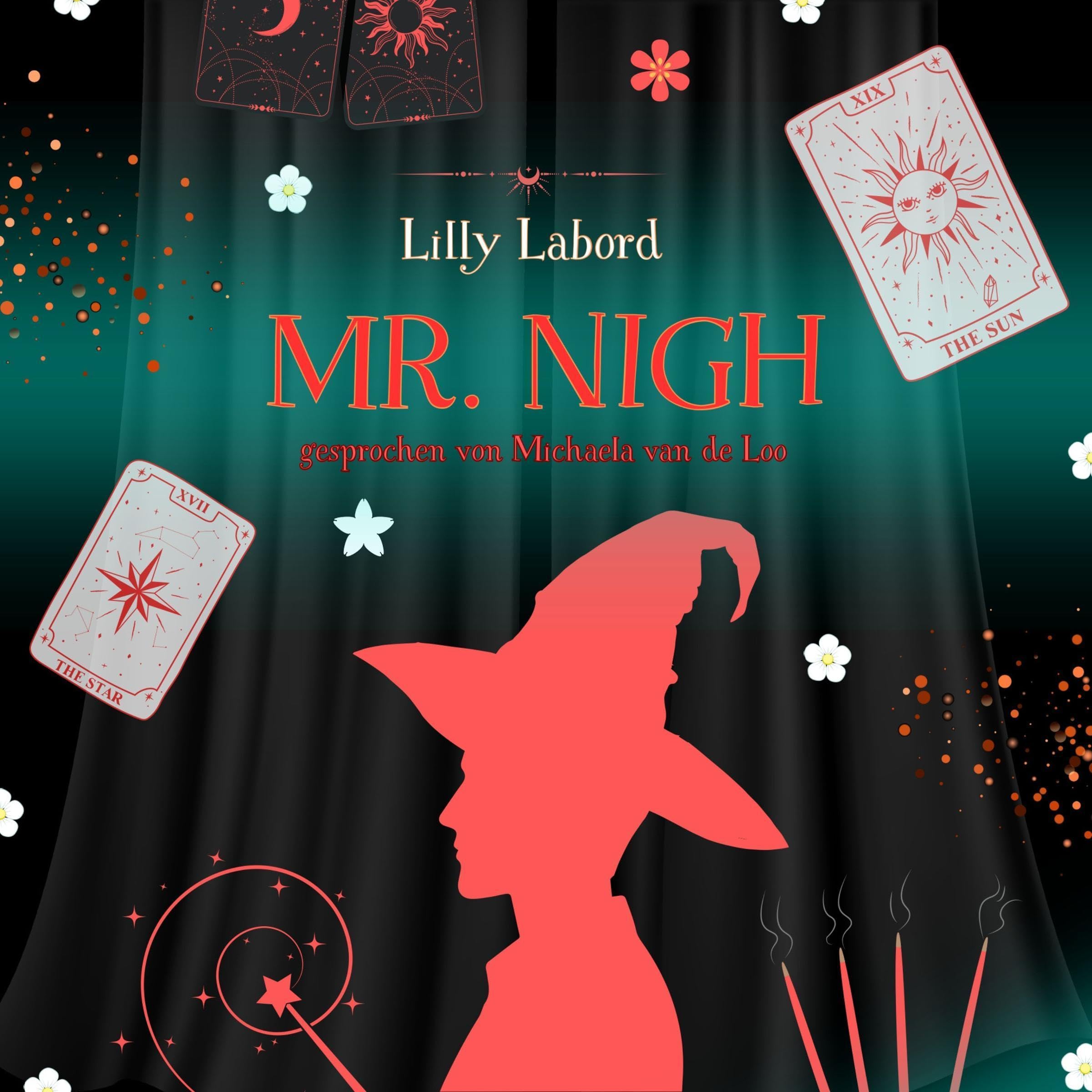 Cover art for Mr. Nigh (German Edition)