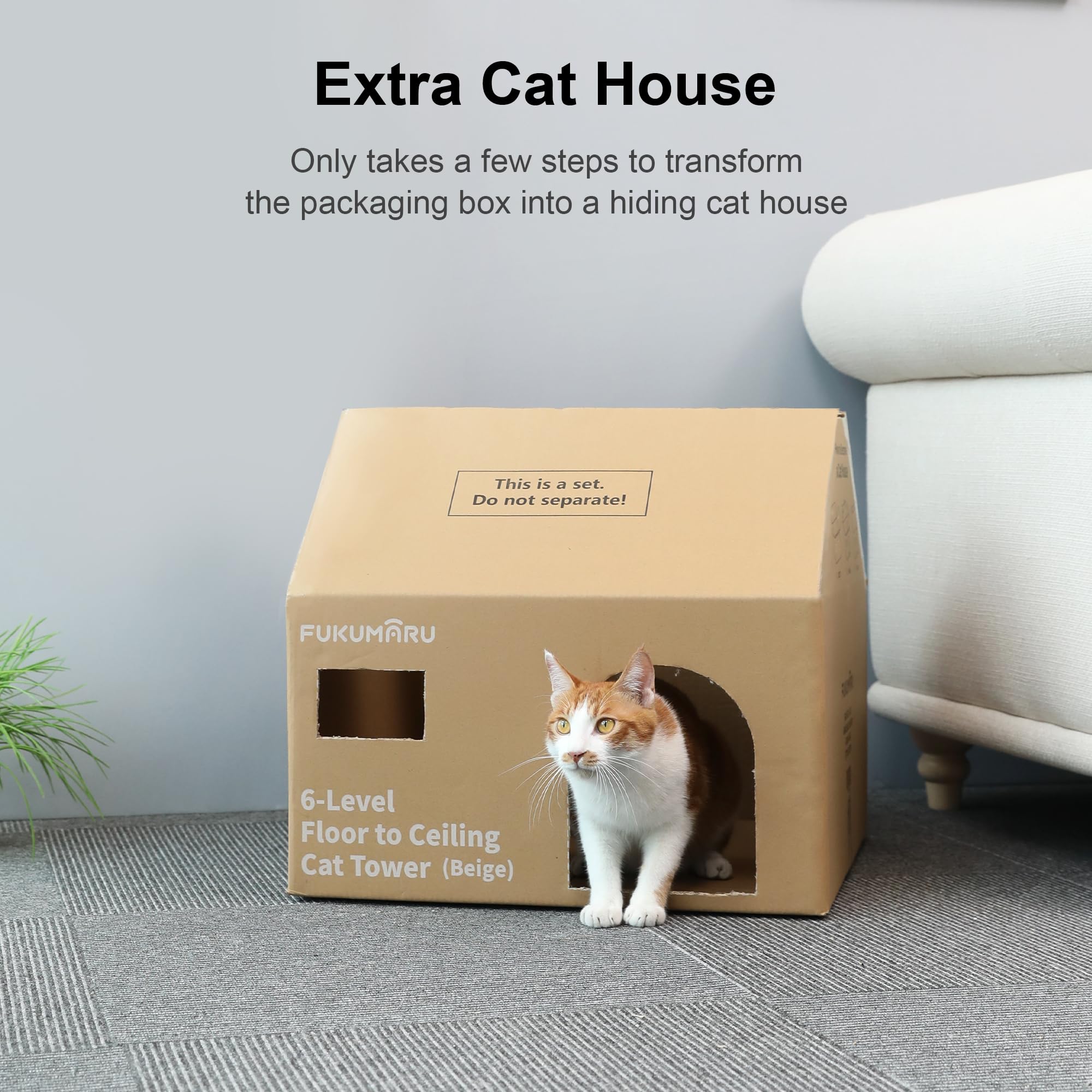 https://m.media-amazon.com/images/I/81G4M35lnKL.jpg