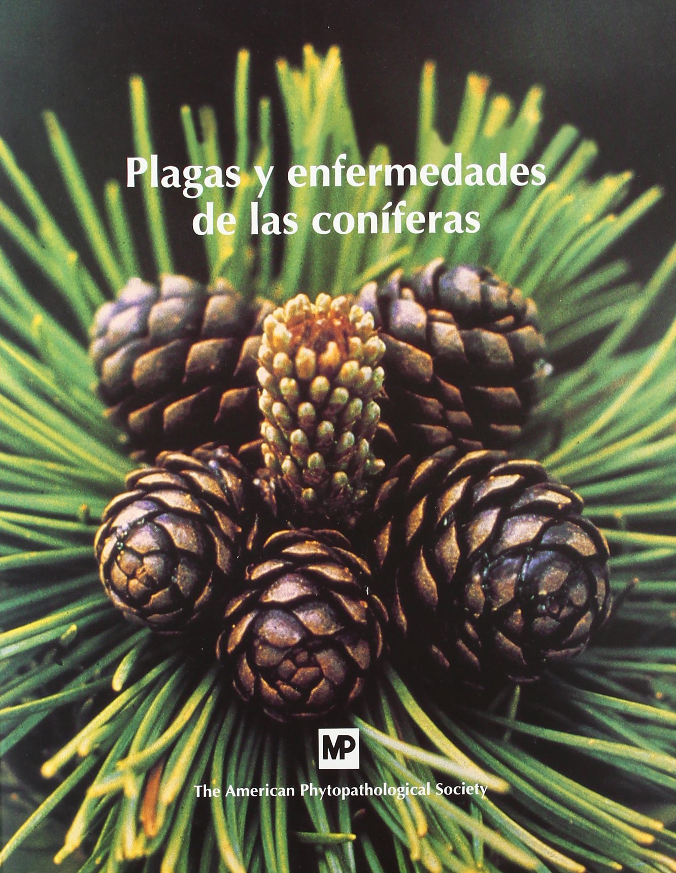 Plagas y enfermedades de las coníferas (Patología Vegetal)