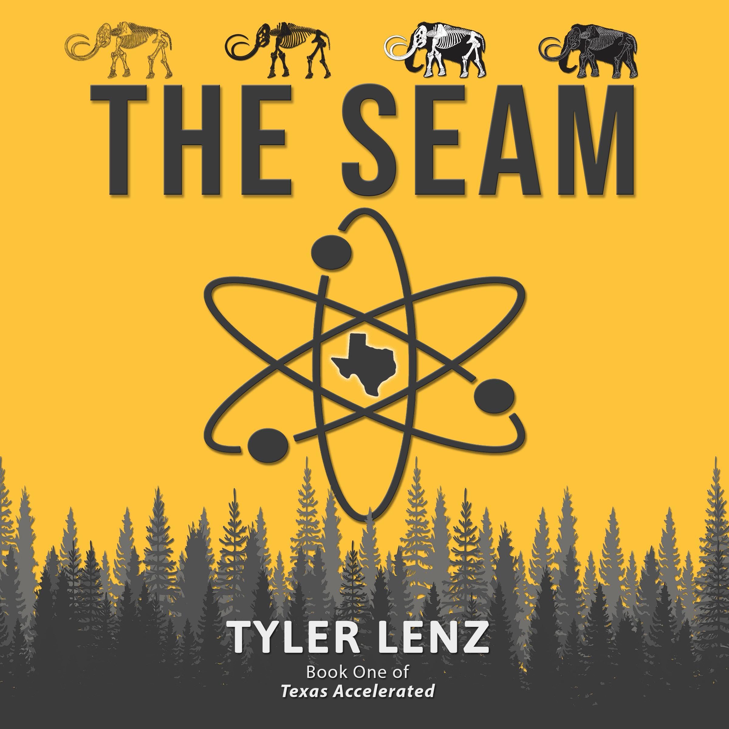 Cover art for The Seam
