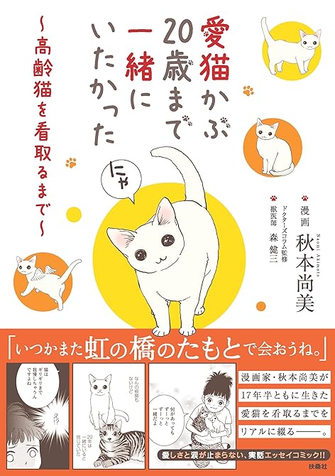 愛猫かぶ20歳まで一緒にいたかった～高齢猫を看取るまで～の表紙イラスト