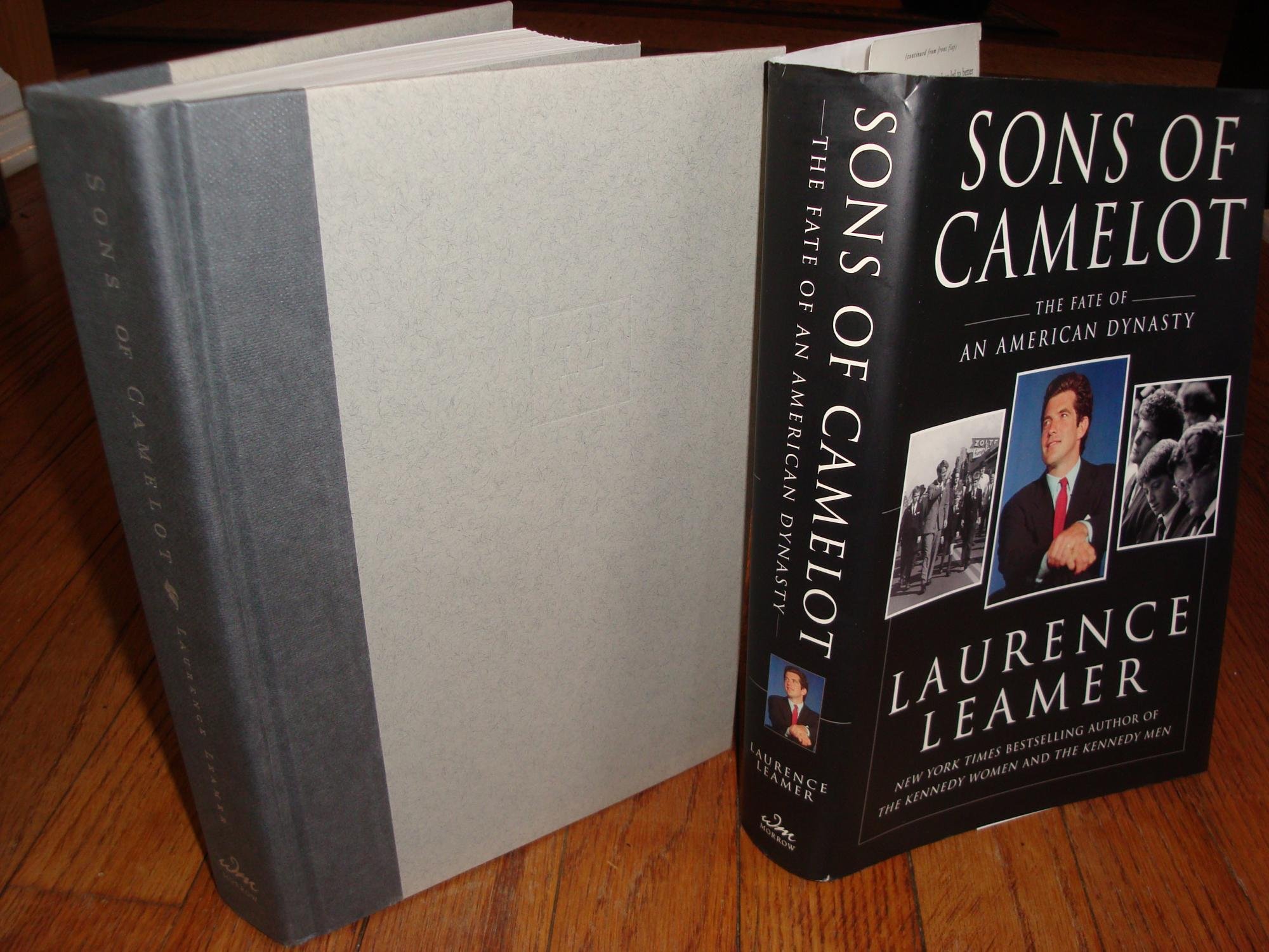 Buy Sons of Camelot: The Fate of an American Dynasty — BookShops.in