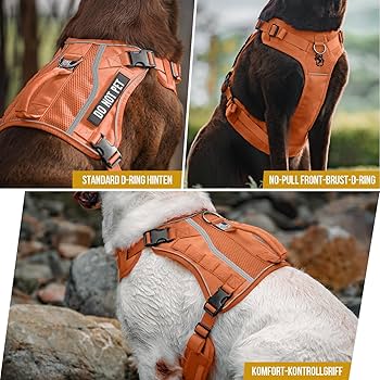 yasu　OneTigris CO OneTigris INVICTUS Uprząż do podnoszenia dla średnich i