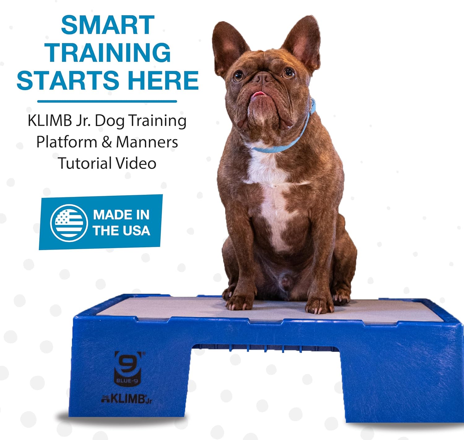 Blue-9 KLIMB Jr. Professionally Designed Dog Training Platform and DIY Guide for Behavior Basics, Made in The USA, Blue