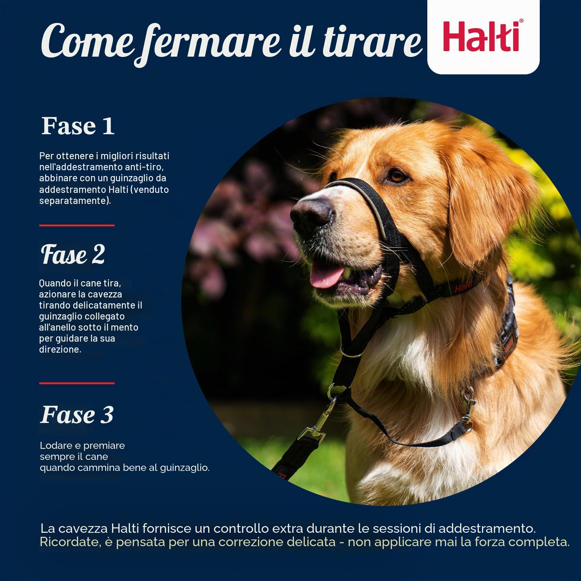 HALTI - Collare a cavezza Per impedire che il cane tiri il guinzaglio, regolabile, leggero, con fascia per il muso imbottita, collareanti-trazione per l’addestramento di cani medi (Taglia 3, Nero)