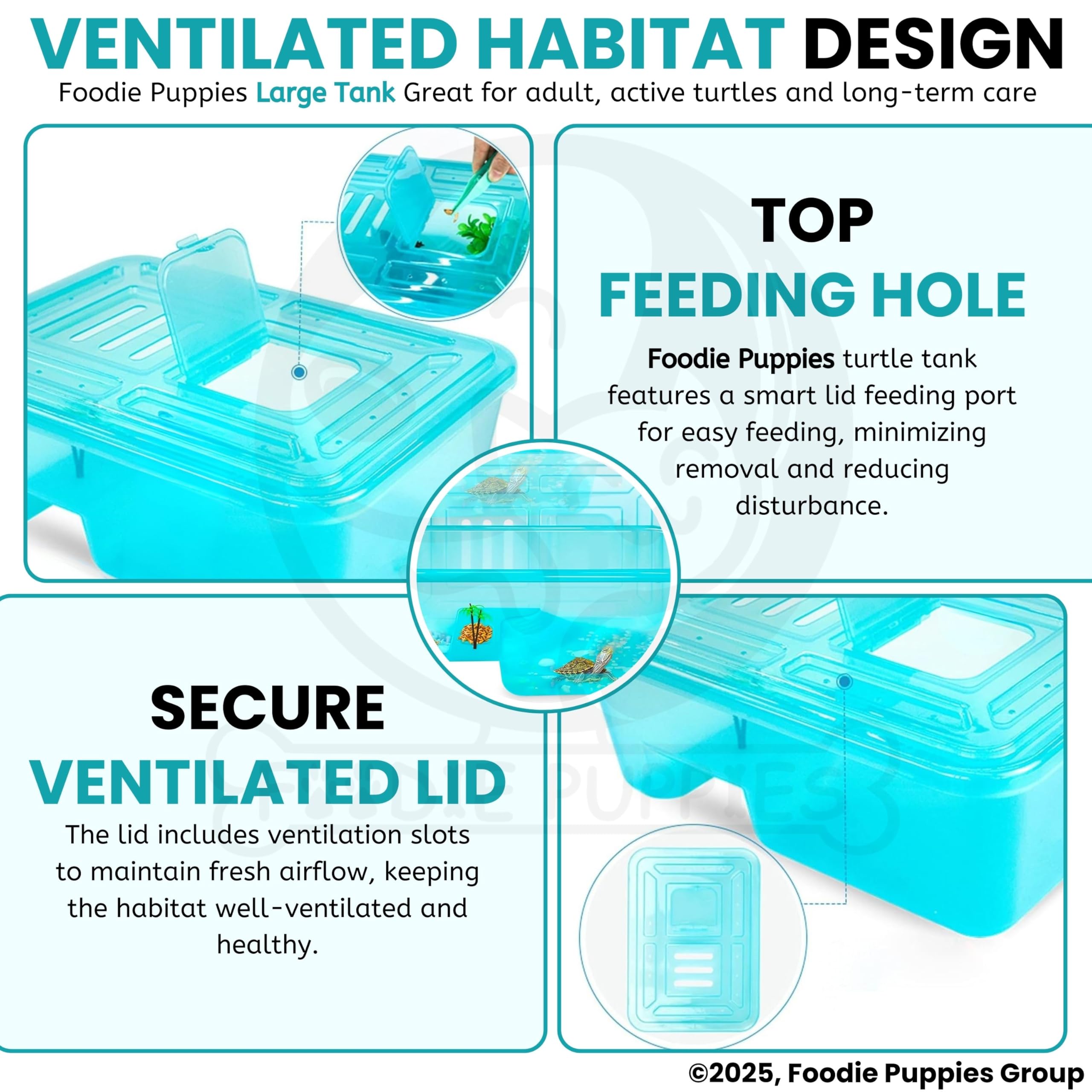 Foodie Puppies Rectangle Turtle Tank Aquarium (Large - 2 FT/24 In Length) with Lid, Ramp | Basking Platform for Turtle Habitat, Reptile Breeding, Safe & Durable with Escape Prevention (No Accessories) 4