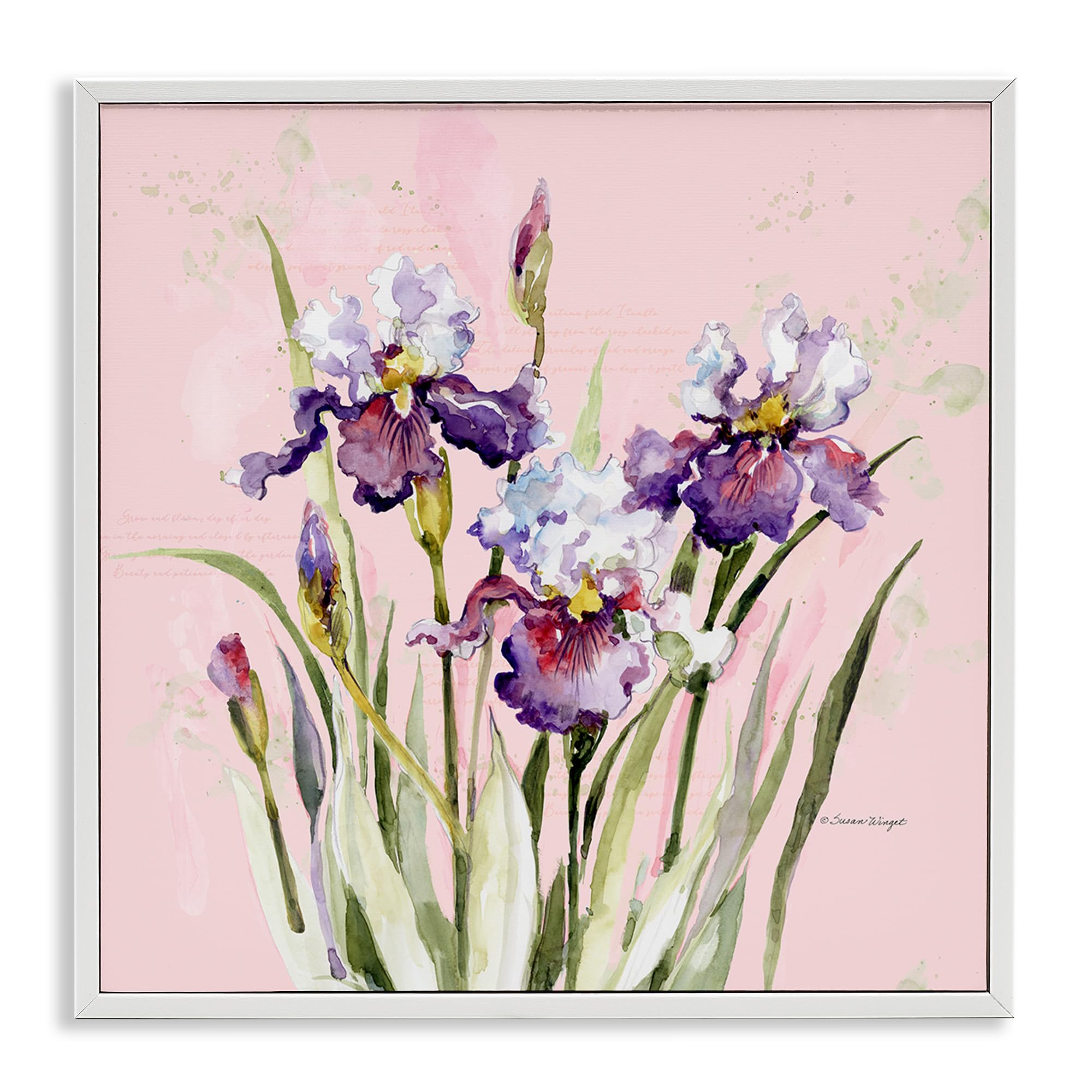 Stupell Industries Purple Irises On Pink 'Purple Irises On Pink', Framed Giclee Art, White, 17 X 17 Inches, Easy To Hang And Sturdy, Made In Usa, By Susan Winget