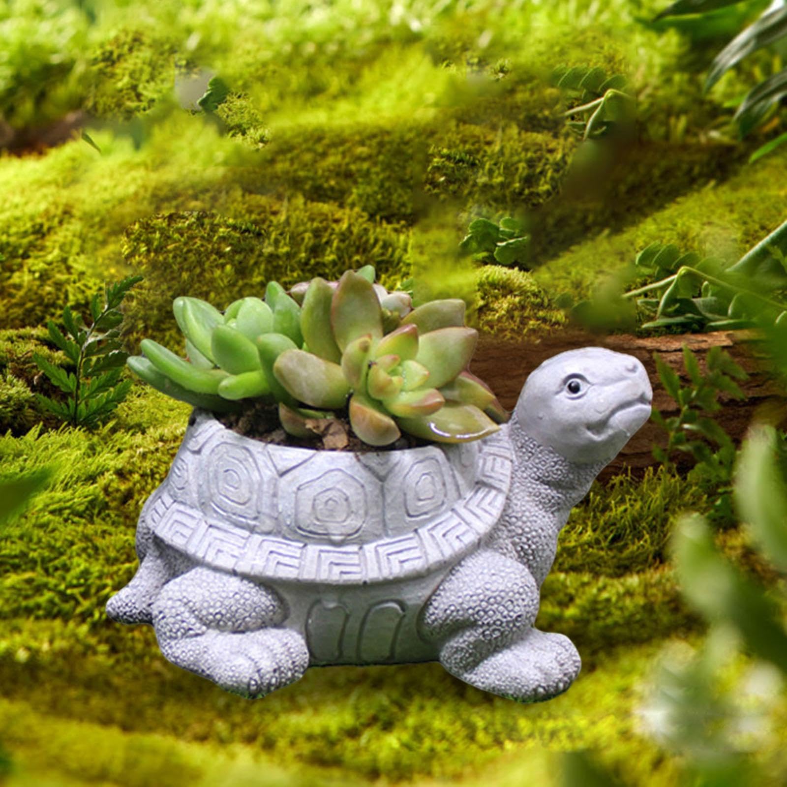 Amazon | Toysmith 亀プランターポットアートデスクトップ装飾植木鉢亀 